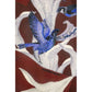 Borbonese Red Silk Women Scarf