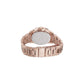 Pierre Cardin Multicolor Stainless Steel Dress Watch