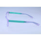 Hugo Boss Purple Acetate Glasses (Frames)