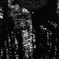 Dolce & Gabbana Black Bodycon Mermaid Sequinned Gown Dress