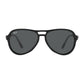 Ray-Ban Black Injected Sunglasses