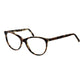 Andy Wolf Brown Acetate Glasses (Frames)