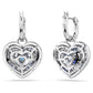 Swarovski Gray Stainless Steel Earrings