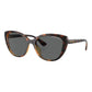 Armani Exchange Brown Injected Sunglasses