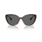Armani Exchange Brown Injected Sunglasses