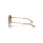 Armani Exchange Brown Injected Sunglasses