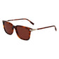 Lacoste Brown Acetate Sunglasses