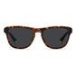 Polaroid Brown Polycarbonate Sunglasses