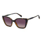 Polaroid Brown Polycarbonate Sunglasses