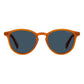 Polaroid Brown Polycarbonate Sunglasses