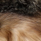 Dolce & Gabbana Brown Frost Fox Fur Neck Warmer Winter Scarf