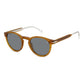 David Beckham Bicolor Acetate Sunglasses