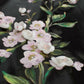 Dolce & Gabbana Black patent floral HANDPAINTED dress