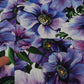 Dolce & Gabbana Purple Floral Print Tapered Cotton Pants