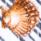 Dolce & Gabbana Multicolor Stripes Seashells Beach Towel