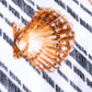 Dolce & Gabbana Multicolor Stripes Seashells Beach Towel