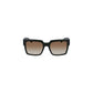 Calvin Klein Brown Plastic Women Sunglasses