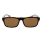 Web Brown Acetate Sunglasses