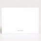 Dolce & Gabbana Multicolor Leopard Print Envelope Paper Post Card Holder