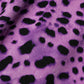 Dolce & Gabbana Violet Leopard Sheath Bodycon Mini Dress