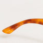 Dolce & Gabbana DG6089 Havana Full Rim Round Lenses Foldable Sunglasses