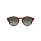 Giorgio Armani Multicolor Acetate Sunglasses